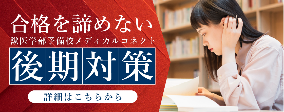 合格をあきらめない獣医学部予備校メディカルコネクトの後期対策┆詳細はこちら