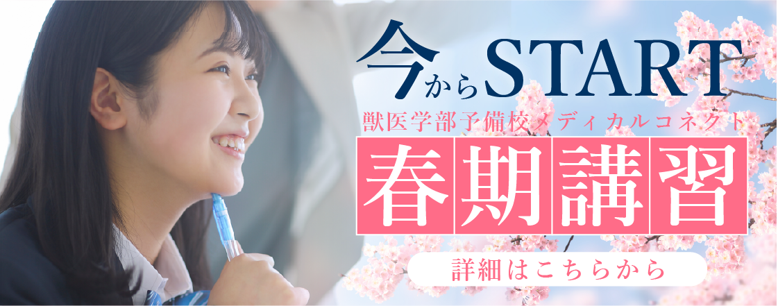 激変する冬今からスタート│医学部予備校メディカルコネクトの春期講習┆詳細はこちら